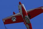 FSX Wataha Textures for the default extra 300